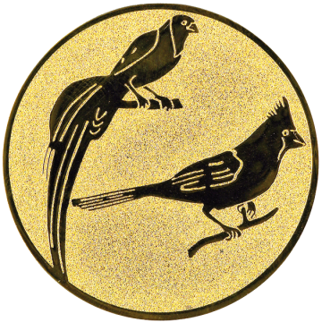 G.A2.104