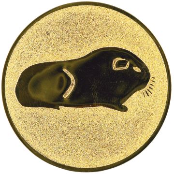 G.A1.049