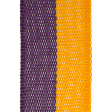 ribbon l800 purple/yellow